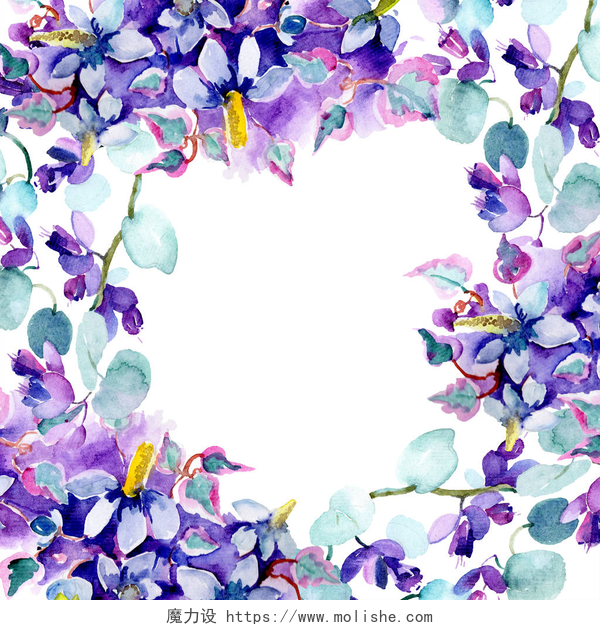 白色的背景下的郁郁葱葱的花朵框架与紫色的花朵花束。水彩背景插图集。水彩画时尚水族馆隔离.